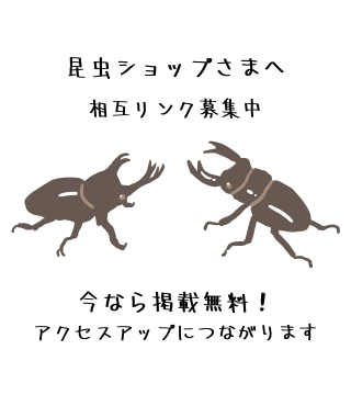 昆虫ショップ様へ 相互リンク募集中 今なら掲載無料！ アクセスアップにつながります